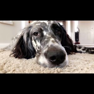 Meet your Posher, Kiera